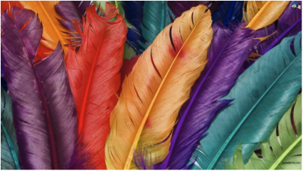 rainbow feathers